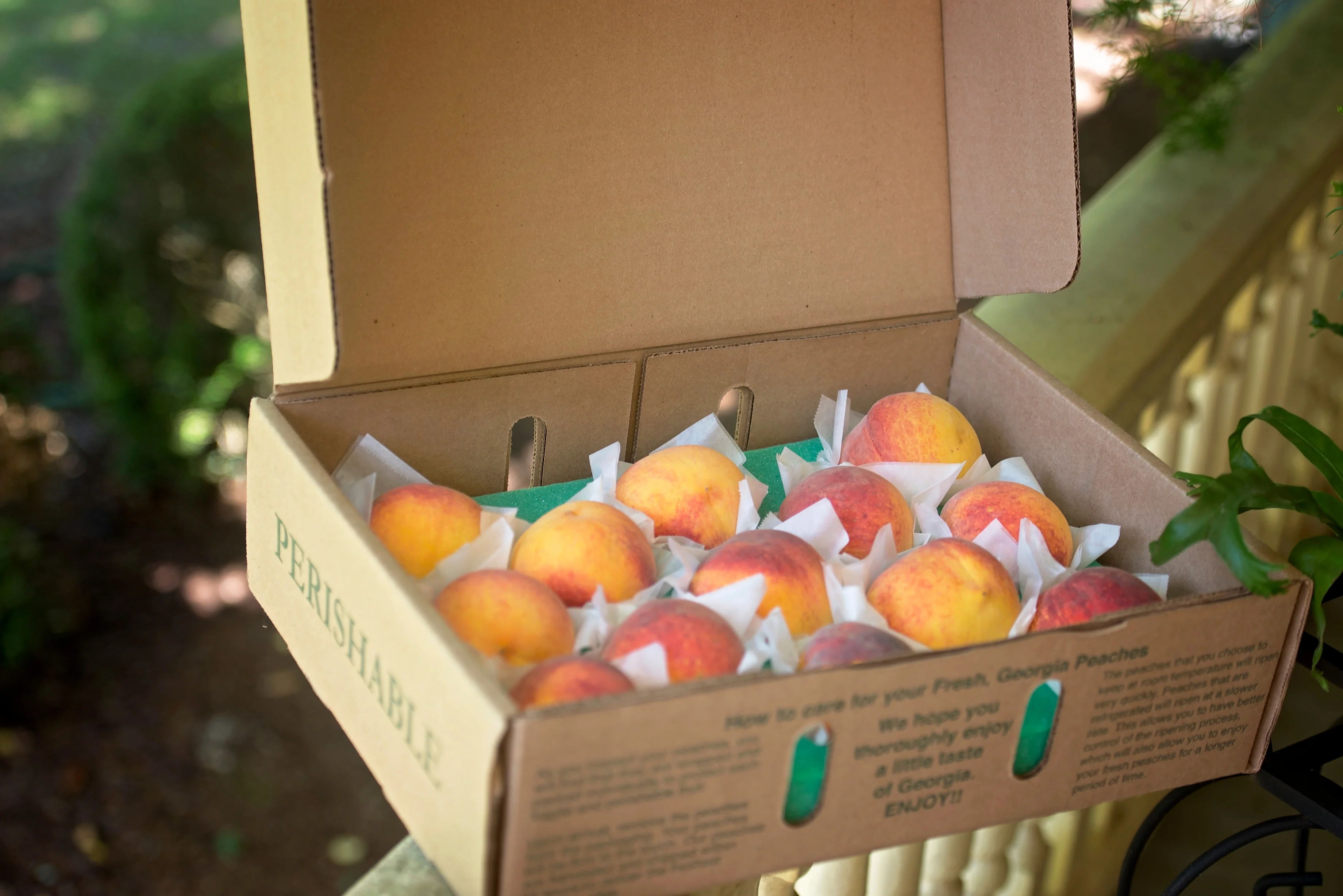 Sweet Georgia Peaches - 26 Count - Prices include shipping - Image 3